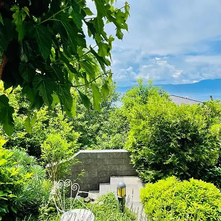 Apartman Blue&green *